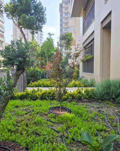 Akdeniz Apartmanı (5)