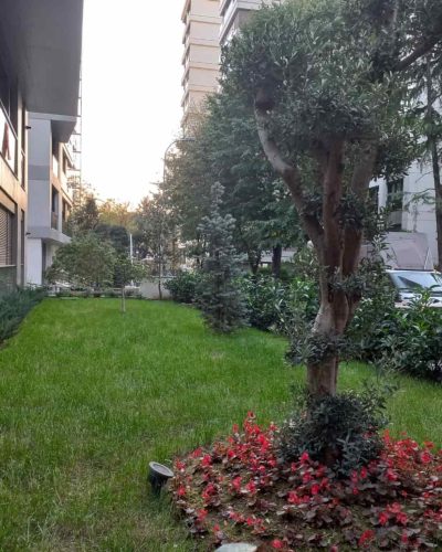 Dilek Apartmanı (4)